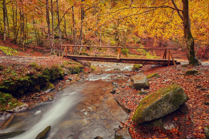 Wooden bridge over brook in autumn forest