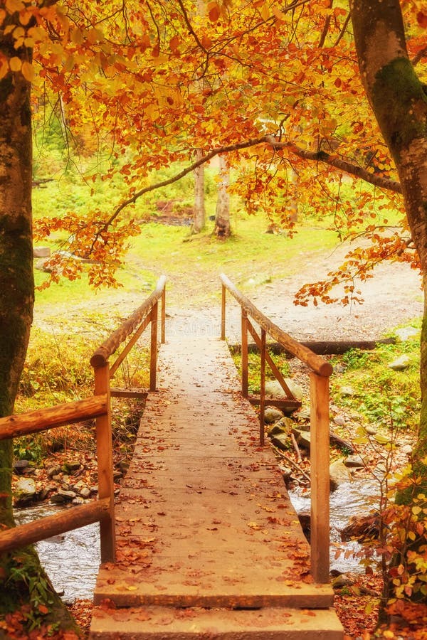 Wooden bridge over brook in autumn forest