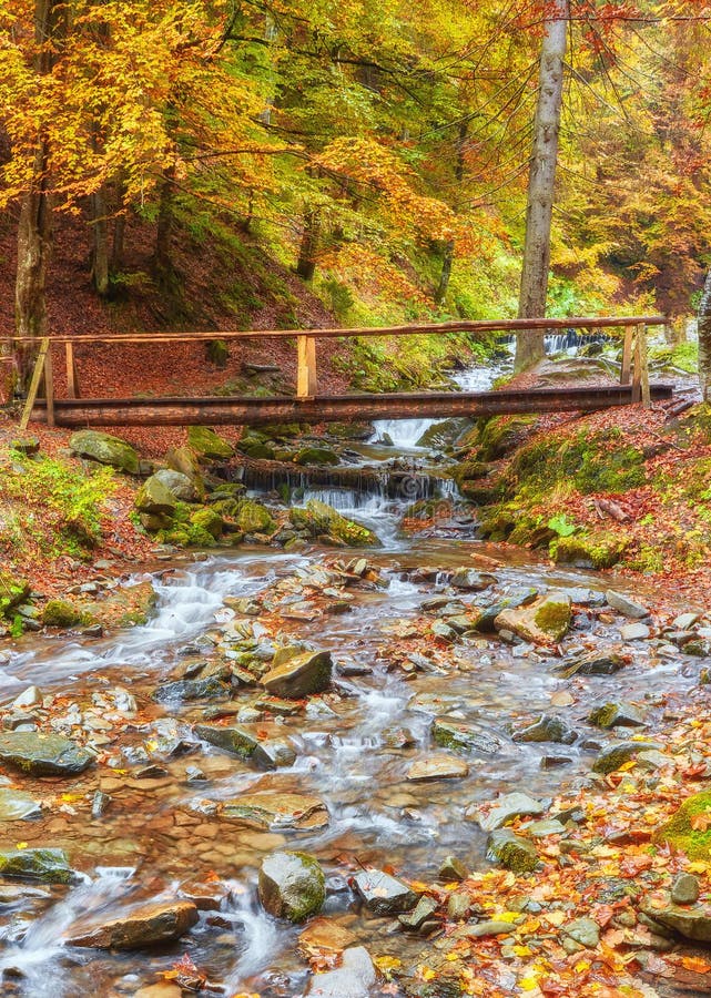 Wooden bridge over brook in autumn