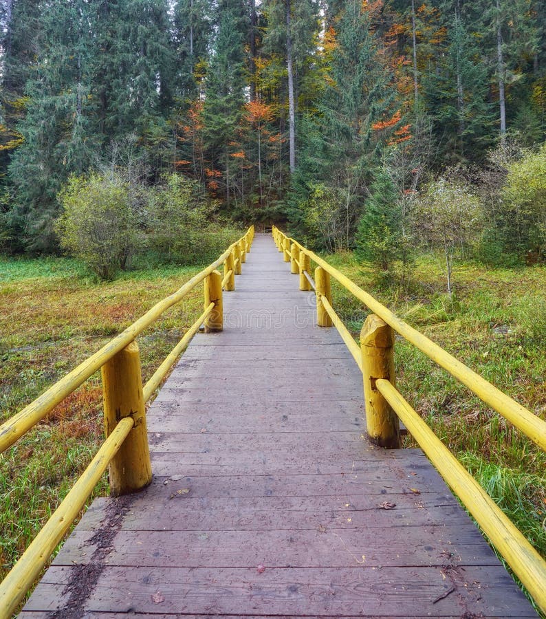 Wooden bridge over brook in autumn