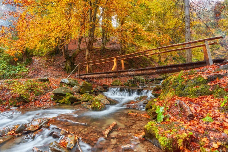 Wooden bridge over brook in autumn