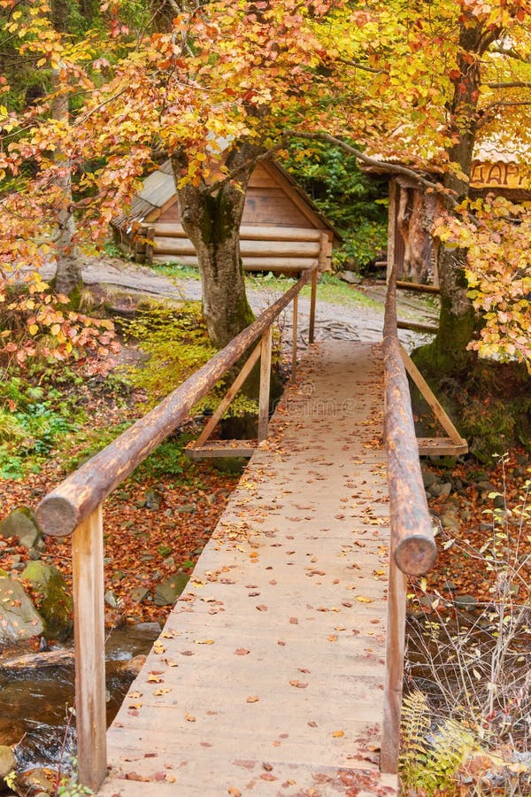 Wooden bridge over brook in autumn