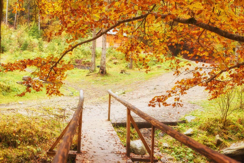 Wooden bridge over brook in autumn