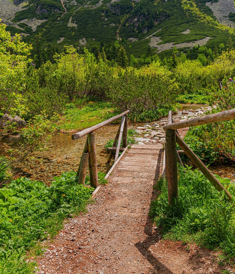 Wooden bridge over a mountain river in the forest.