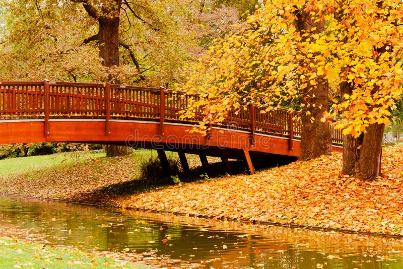 Wooden bridge over river in autumn park. Wooden orange bridge over river in autumn park. Leaves in water. Trees are yellow