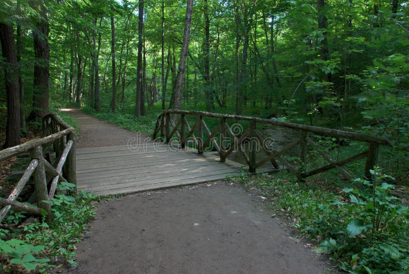 Wooden Bridge Over Stream