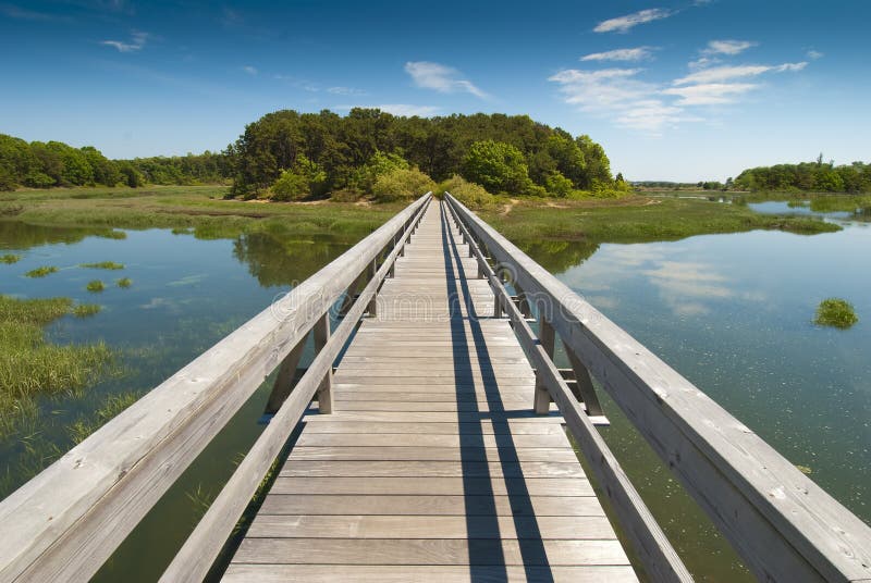 Download Wooden Bridge In Perspective Stock Photo - Image of trekking, trail: 19880492