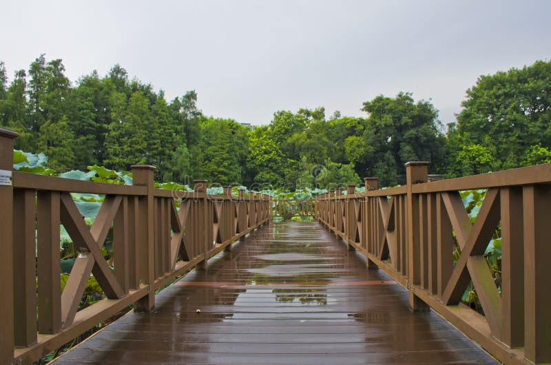 Wooden bridge on a pond.