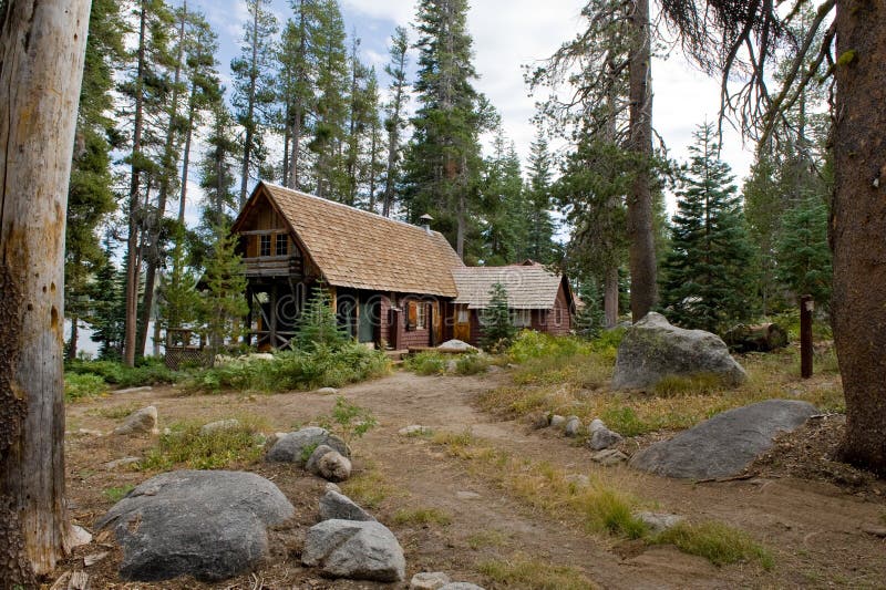 Wooden cabin in scenic forest