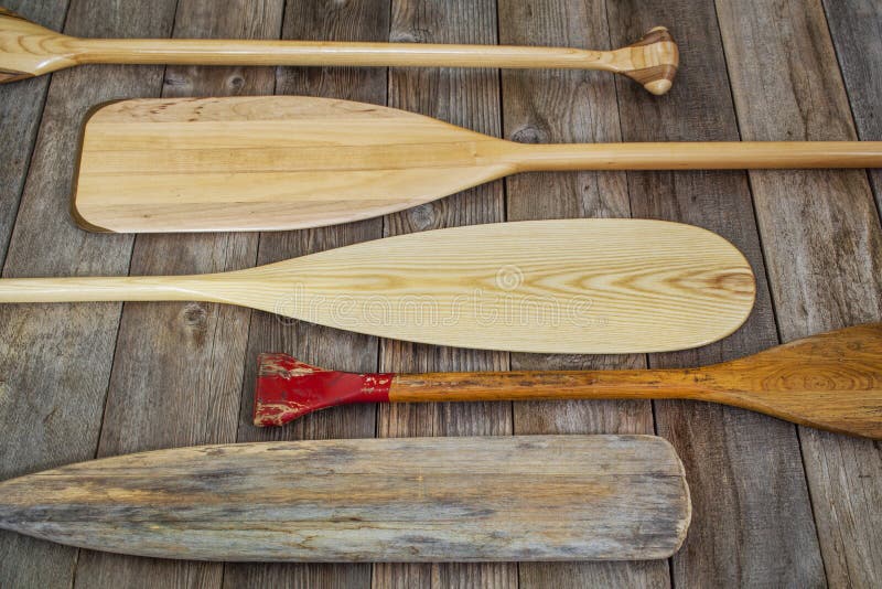 wooden canoe paddles stock photo. image of water, canoe