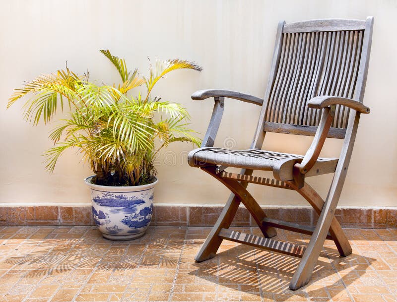 Wooden Chair and Palm Tree in Pot Stock Photo Image of minimalism
