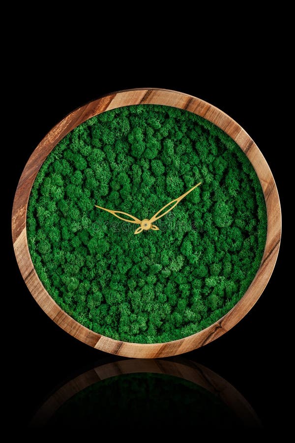 Wooden clock with color stabilized moss on a black background with mirror otgruzheniya. Trend 2019. Wall Clock copy space