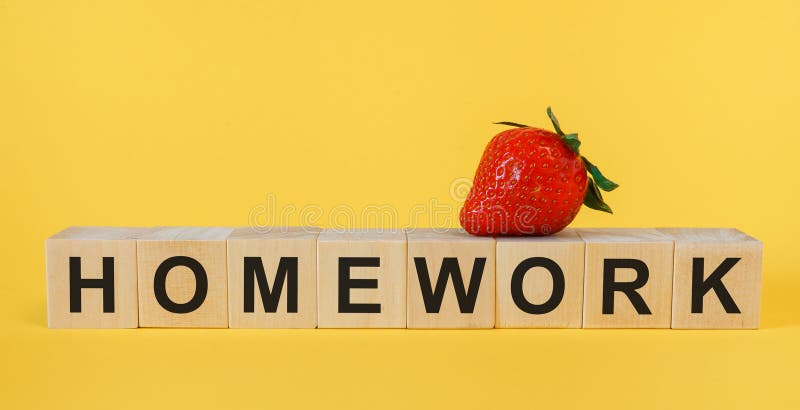 the word homework in sentence