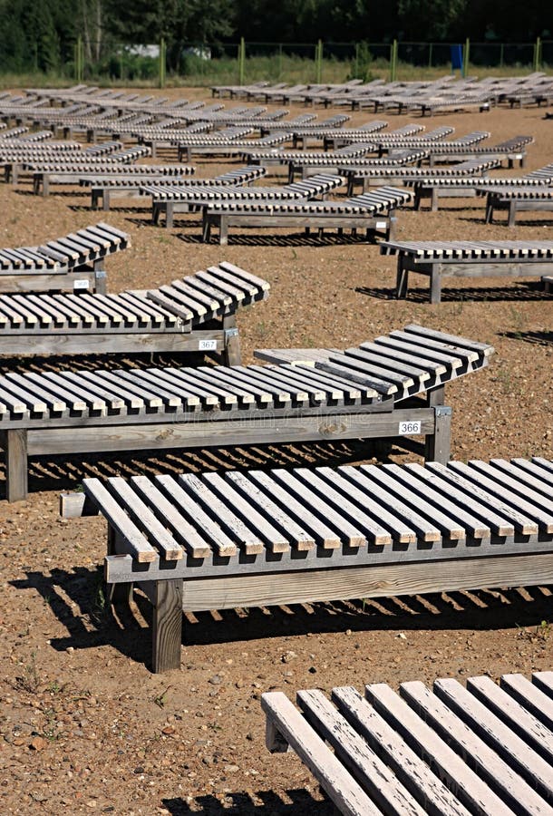Wooden deck-chairs stock photo. Image of deck, requiring - 11034558
