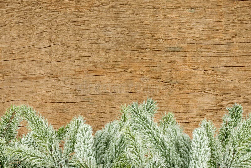 Wooden Desk and Green Christmas Tree Stock Photo Image of ribbon