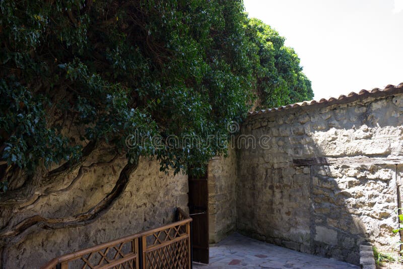 Wooden door, stone wall lined with cobblestones and with a beautiful winding tree royalty free stock photography