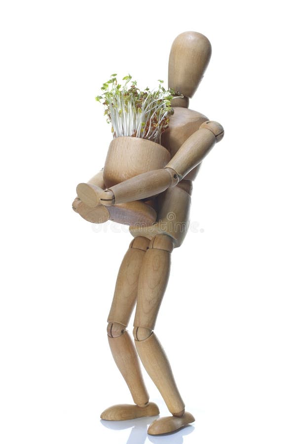 Wooden dummy and pot with cuckooflower