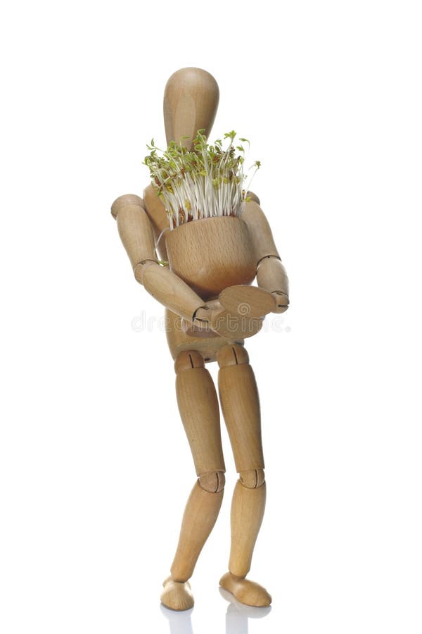 Wooden dummy and pot with cuckooflower