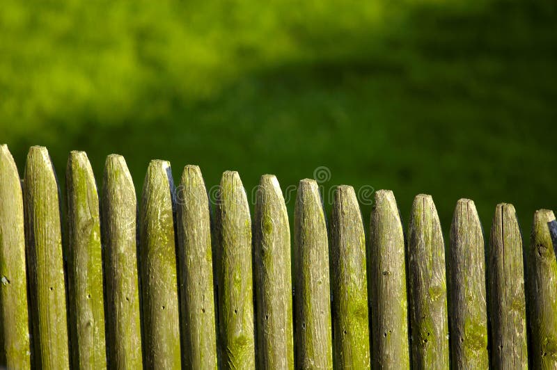 Wooden Fence