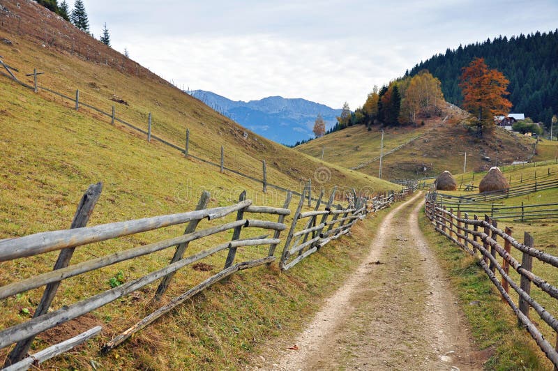 Wooden fence