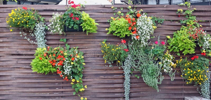 Wooden fence with flowerpots and blossoming plants