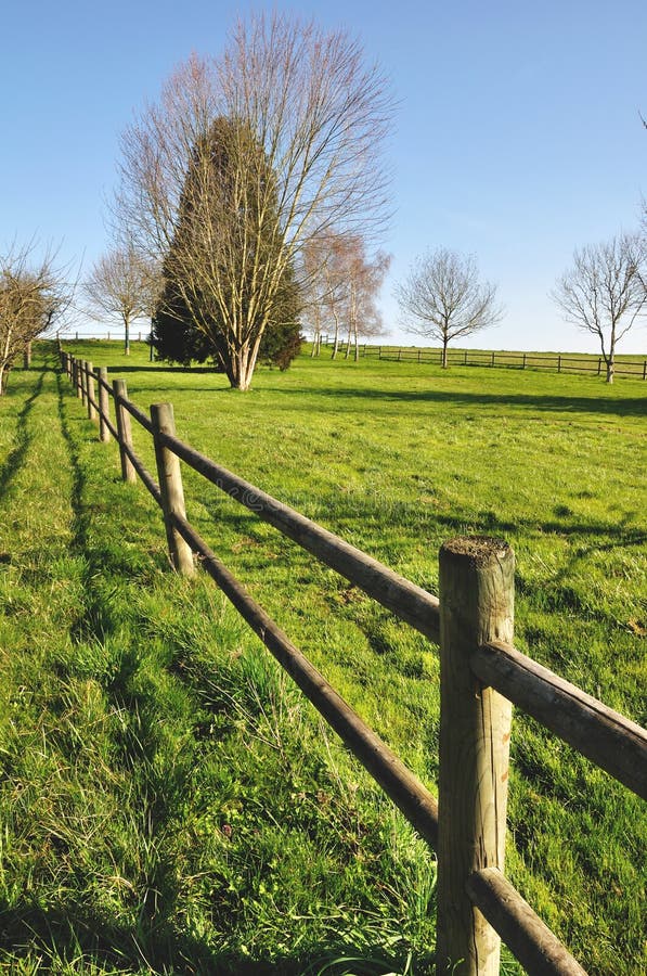 Wooden fence in a garden