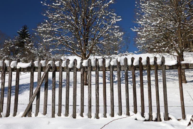 Wooden Fence in the Garden in Winter Stock Photo Image of seasonal