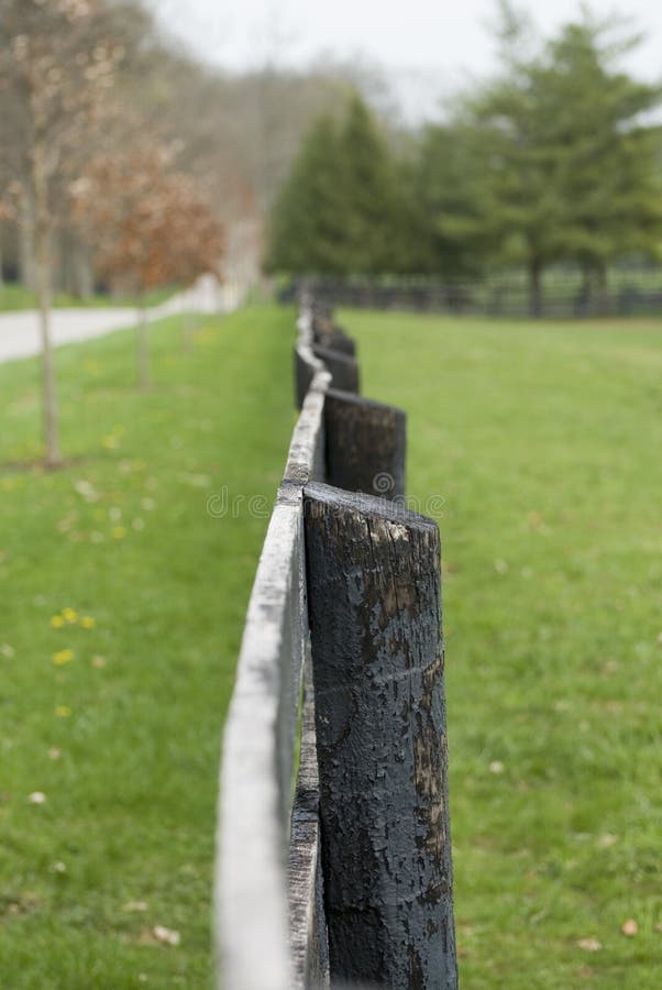 Wooden Fence in Green Pasture Stock Image Image of outdoor, rural