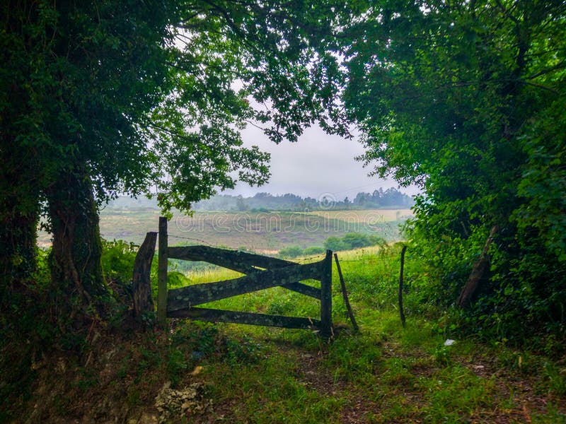Wooden fence with a green grass meadow at the background. Camino de Santiago Primitivo