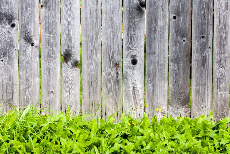 Wooden fence and green grass. Spring Or Summer Background