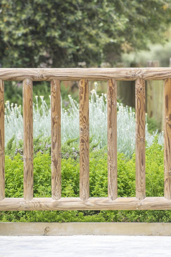 Wooden Fence and Some Flowers in a Home Garden. Floral Background and Empty  Copy Space Stock Image - Image of blank, copy: 147479869