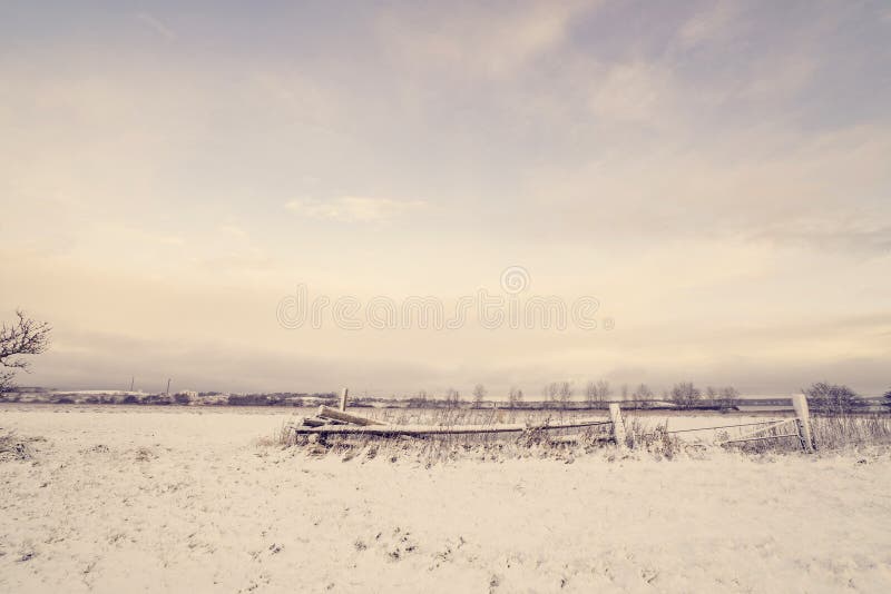 Wooden fence in a winter landscape royalty free stock photography Wooden fence in a winter landscape royalty free stock photography