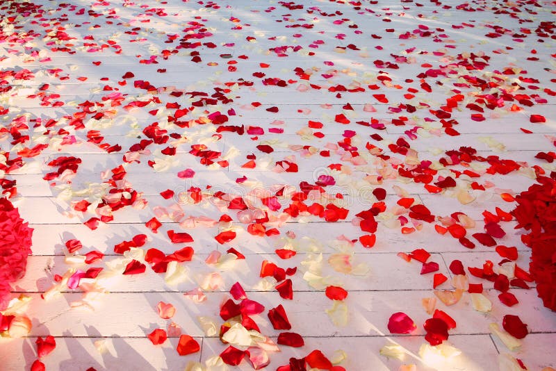 Wooden floor, strewn with rose petals