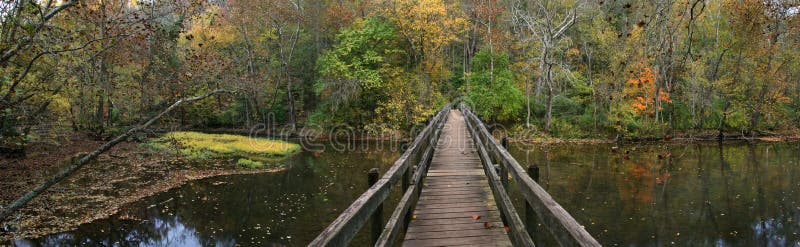 Wooden Foot Bridge royalty free stock image