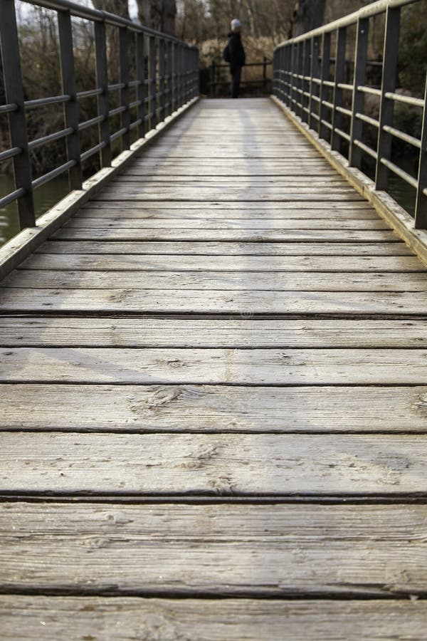 Wooden footbridge in a forest royalty free stock photo