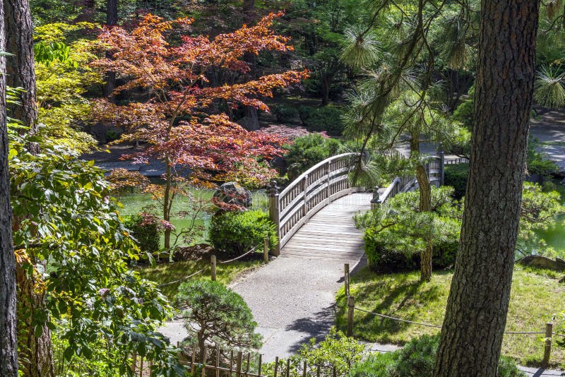 The wooden footbridge in the Japanese Gardens exhibit in Manito Park, Spokane, Washington, USA royalty free stock images The wooden footbridge in the Japanese Gardens exhibit in Manito Park, Spokane, Washington, USA royalty free stock images