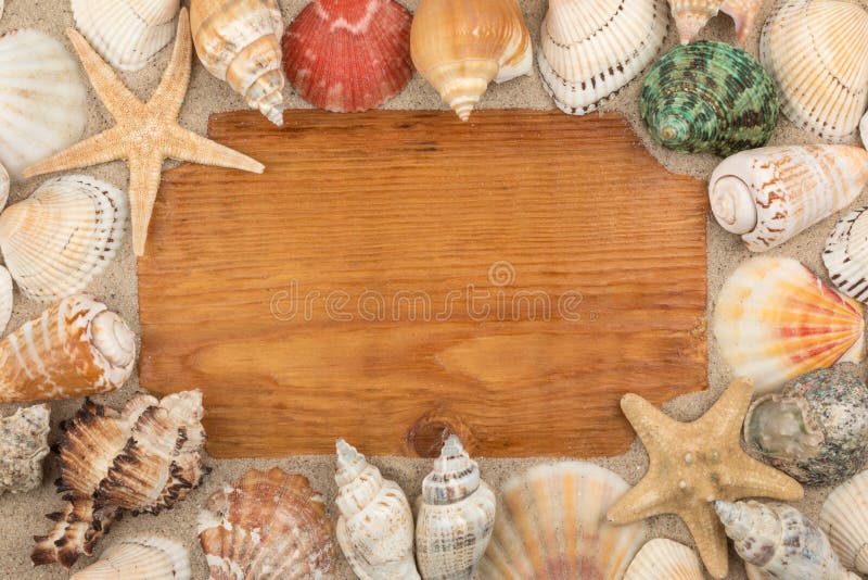 Wooden frame surrounded by sea shells and stars. With a free space for the designer.