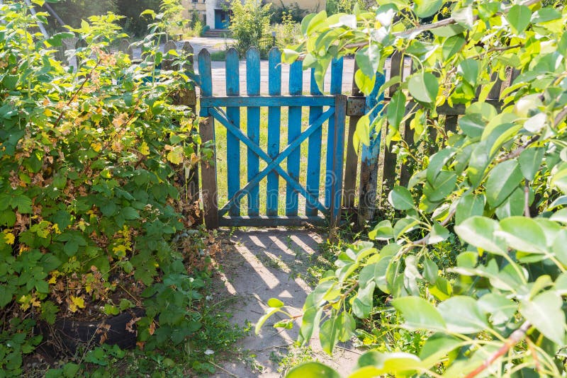 Green Garden Gate and Fence Stock Photo Image of verge, craftsman