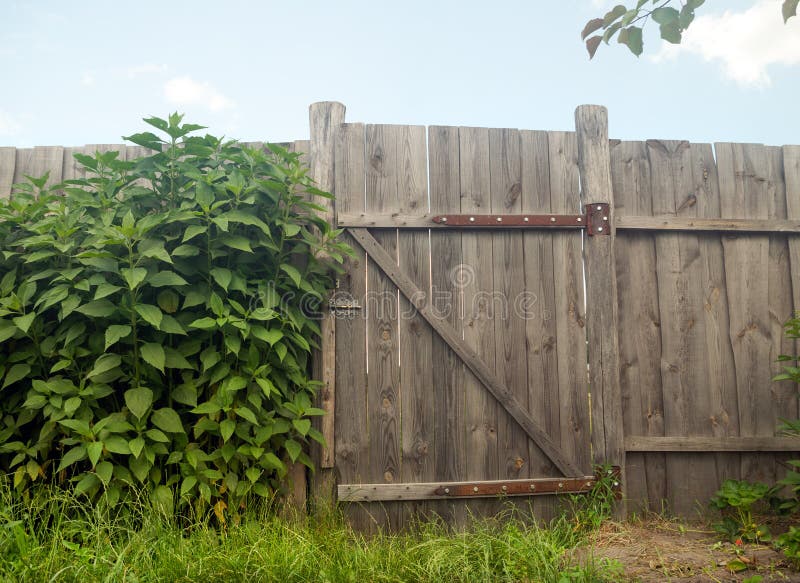 Wooden gate in the village stock photo. Image of village 252084122