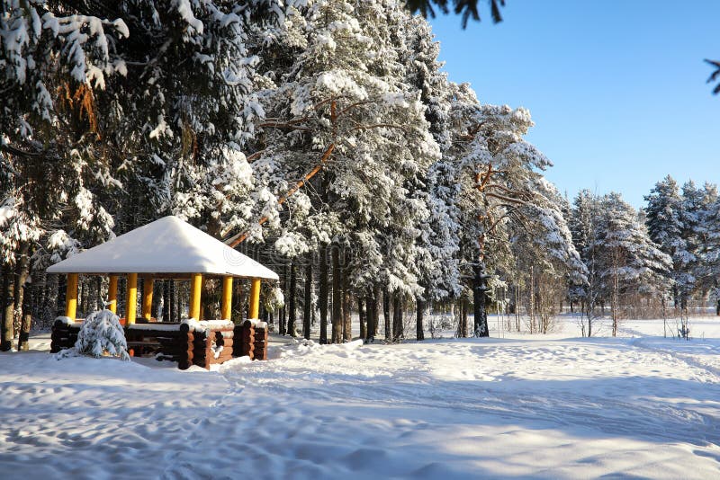 Wooden Gazebo in Forest in Winter Sunny Day Stock Image Image of