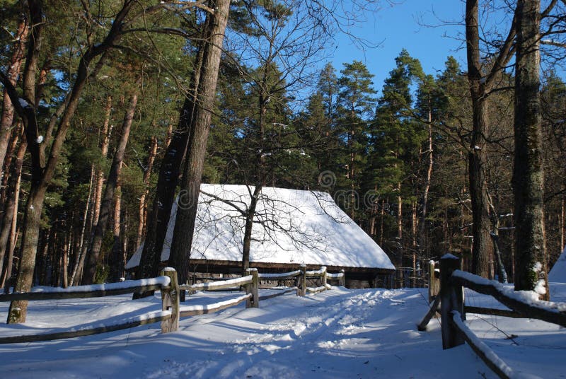 Wooden house