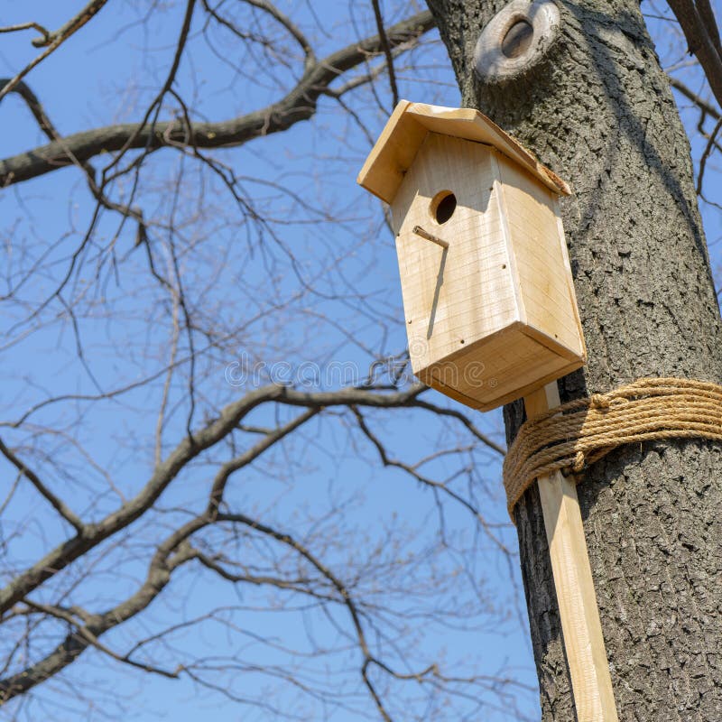 Wooden House For Birds On The Tree Stock Photo Image of background