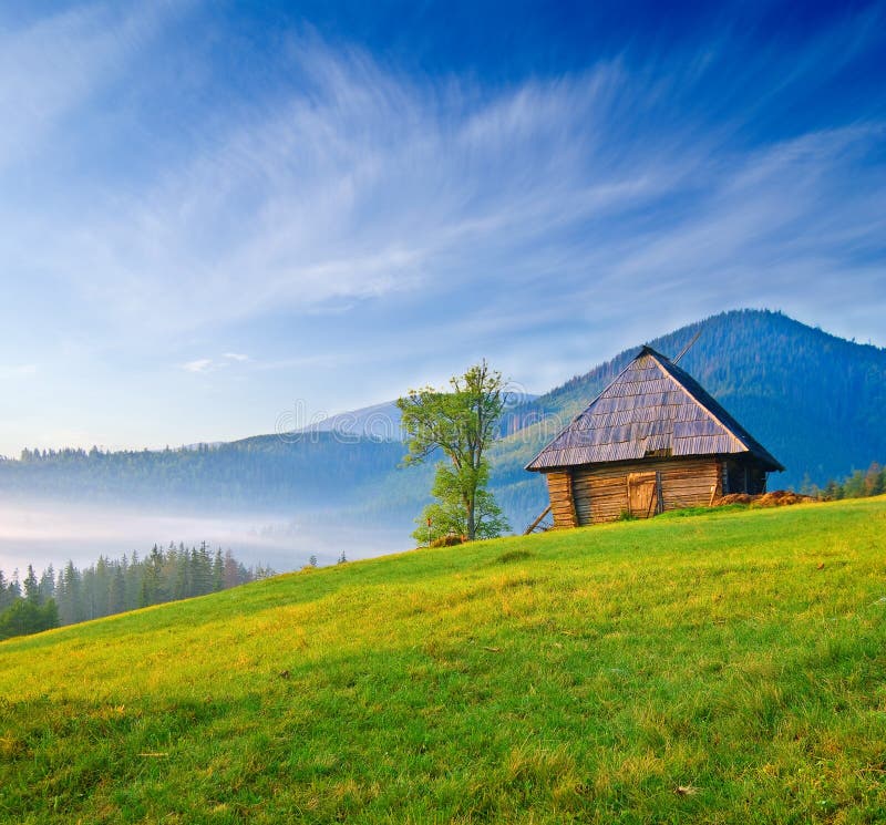 Wooden house on a green hill