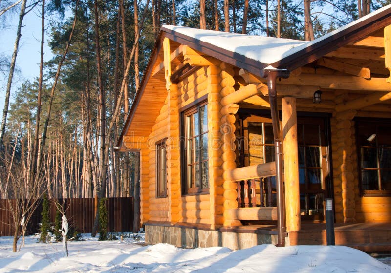 Wooden house at pine forest