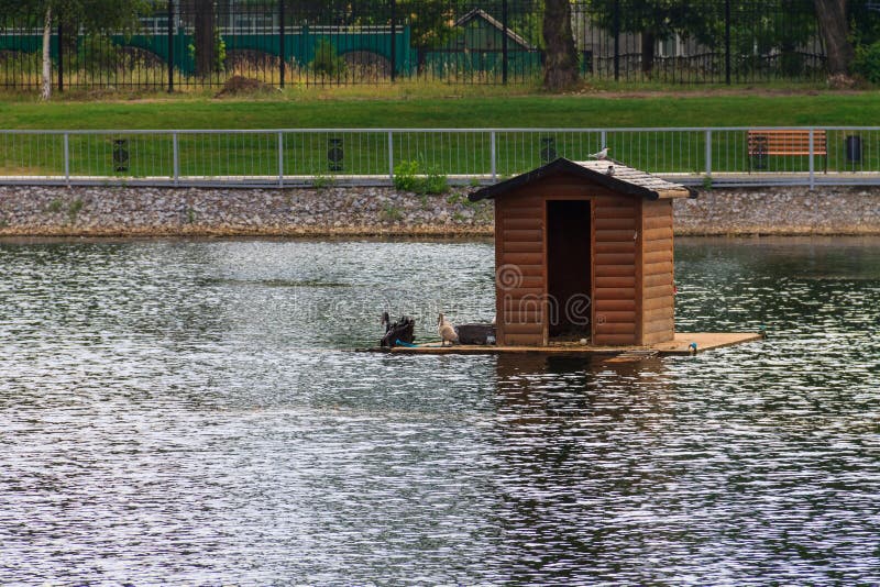 Wooden house for swans on a lake in city park royalty free stock images