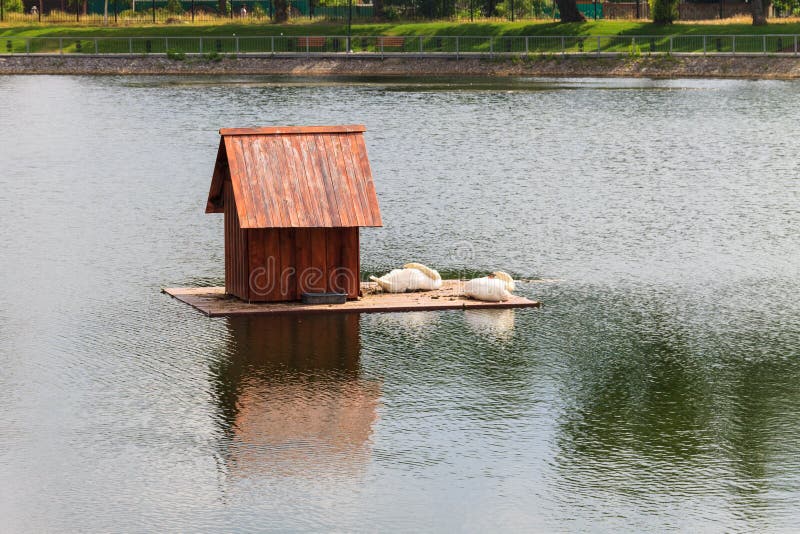 Wooden house for swans on lake in city park royalty free stock photos