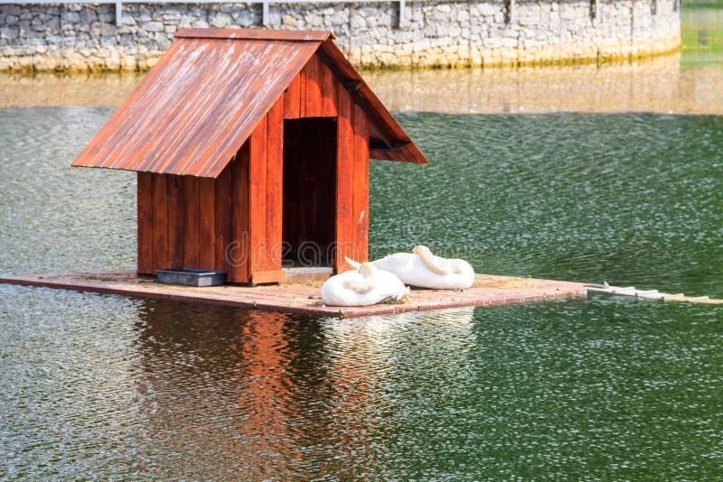 Wooden house for swans on a lake in city park royalty free stock image