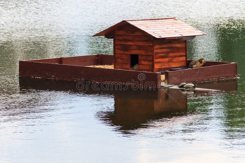 Wooden house for turtles and ducks on a lake in city park royalty free stock photo