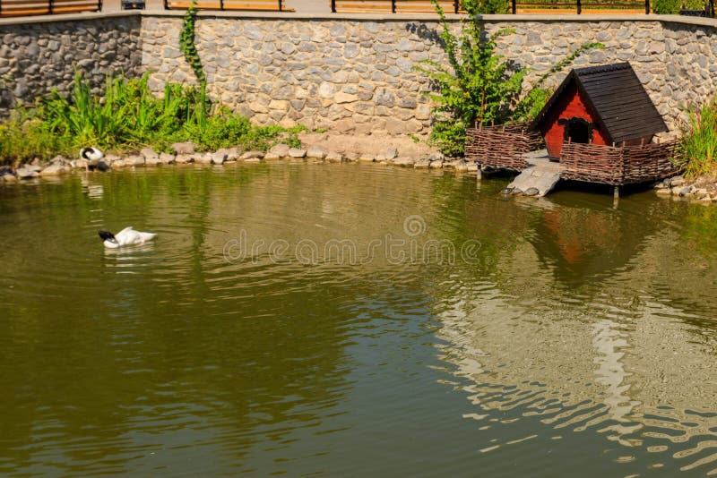 Wooden house for water birds and turtles on lake in city park stock images