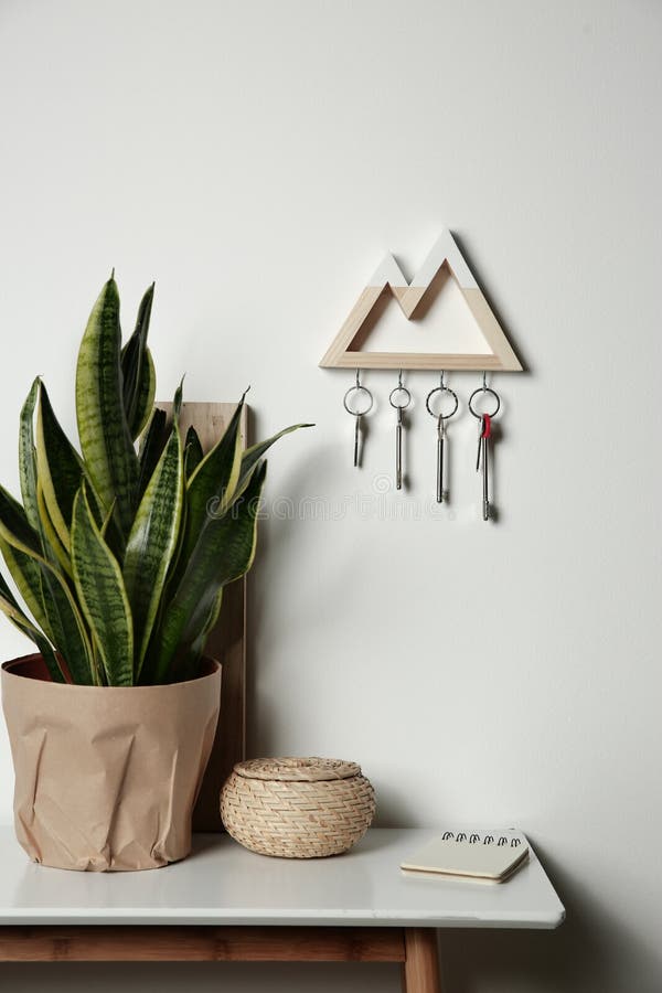 Wooden key holder on light wall